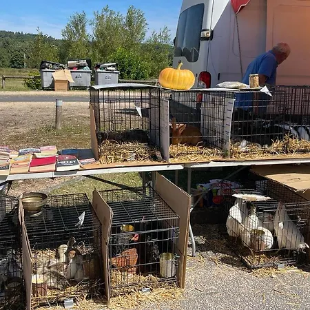 Nocleg ze śniadaniem Le Chateau 3*